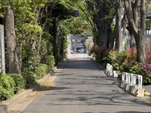 Speed Limit on 'Residential Streets' Set at 30 km/h — How to Tell Which Roads Are Covered