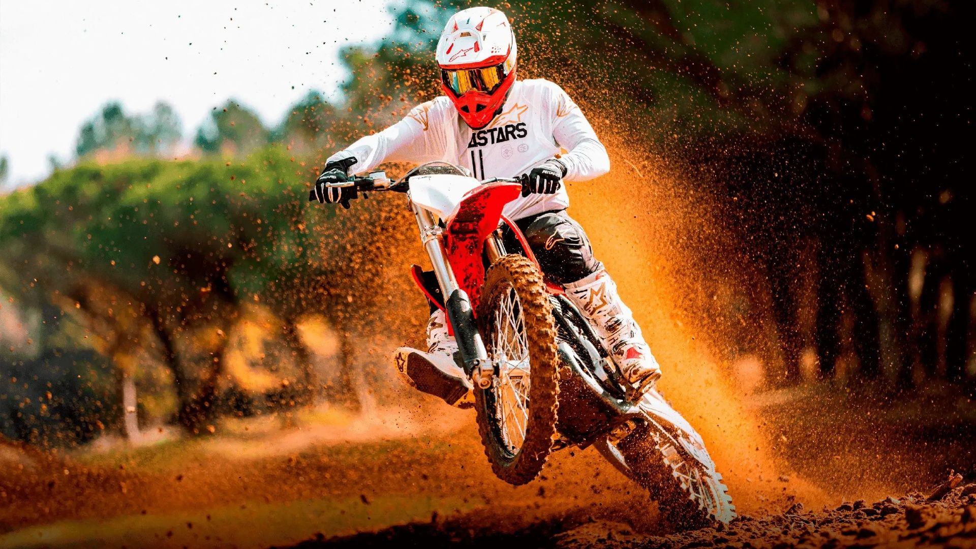 Stark Future Stays Profitable in H1 2026 While EV Motorcycle Rivals Burn Cash