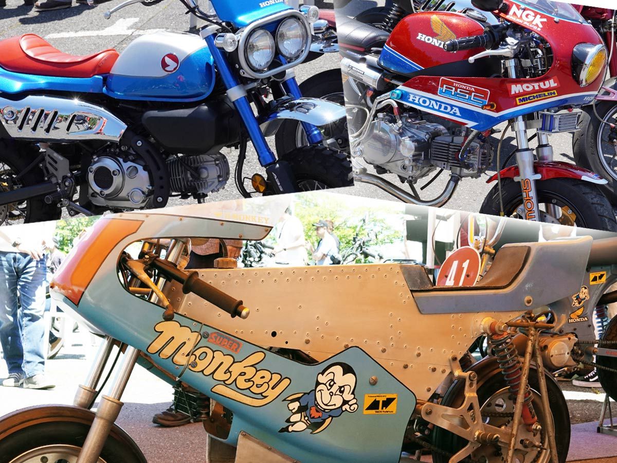 18th Monkey Meeting in Tama Draws Record ~560 Bikes — Open to Any Horizontal-Engine Honda