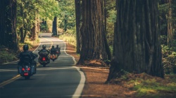 European Motorcycle and Scooter Sales Show Signs of Recovery in H1 2026